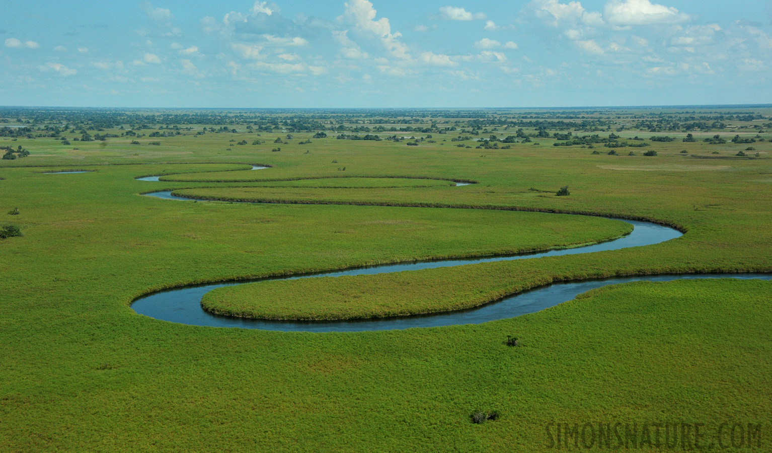 Okavango Delta Mai 2014 [52 mm, 1/4000 Sek. bei f / 8.0, ISO 1600]